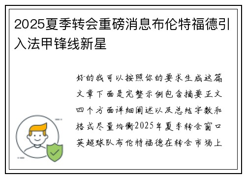 2025夏季转会重磅消息布伦特福德引入法甲锋线新星 2025夏季转会重磅消息布伦特福德引入法甲锋线新星