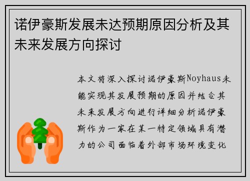 诺伊豪斯发展未达预期原因分析及其未来发展方向探讨 诺伊豪斯发展未达预期原因分析及其未来发展方向探讨